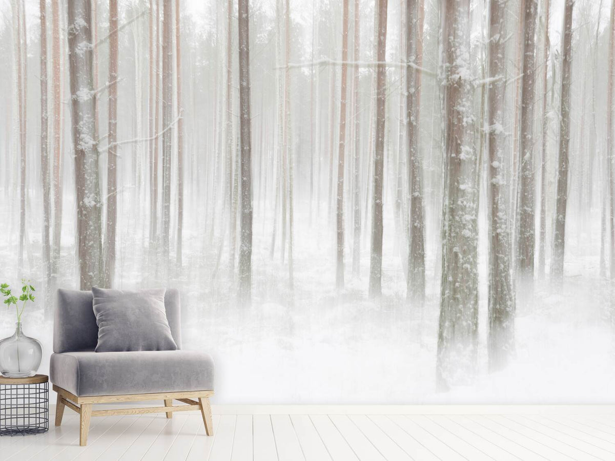 photo-wallpaper-winterforest-in-sweden-x