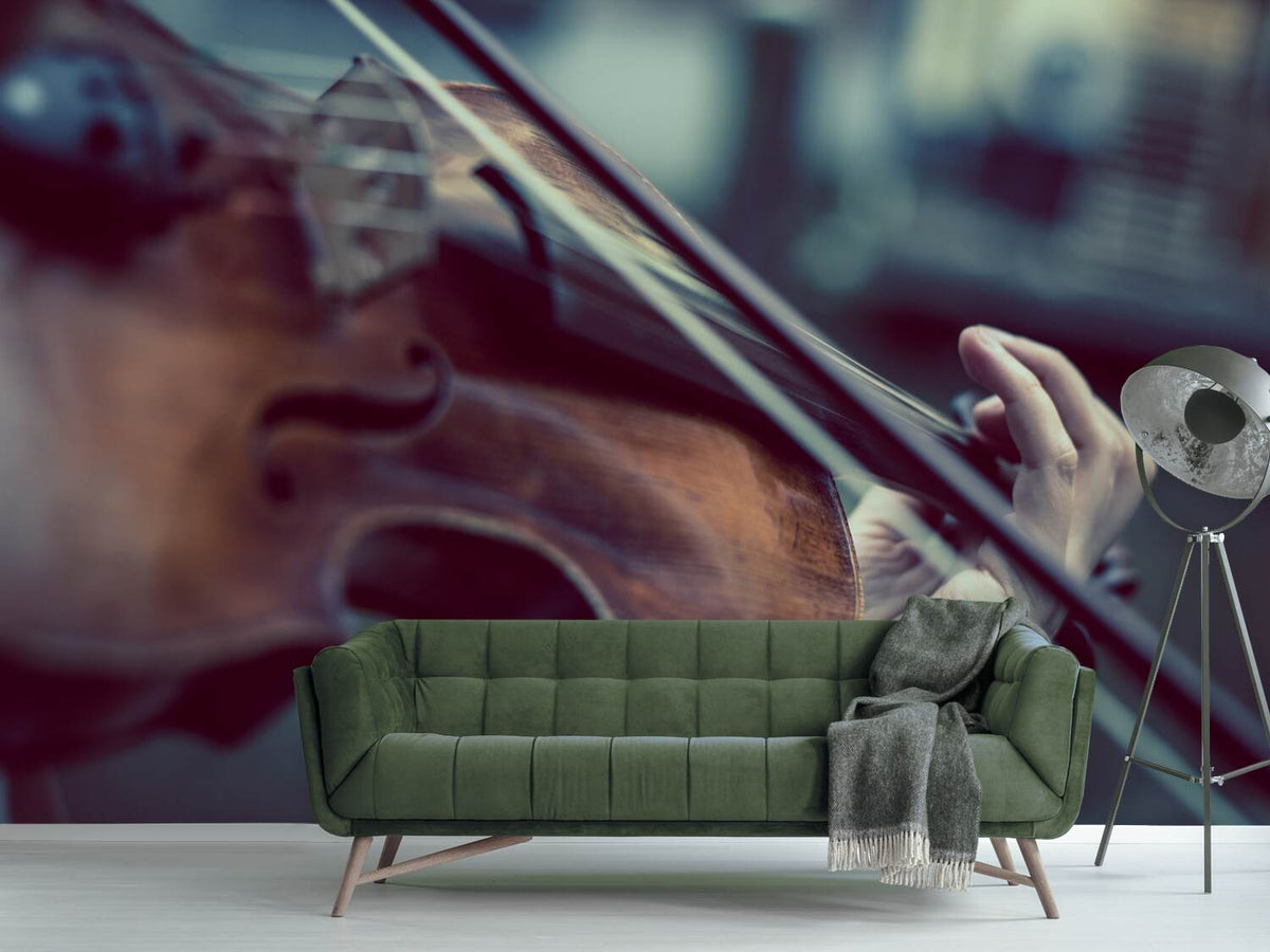 photo-wallpaper-violin