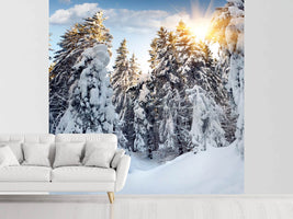 photo-wallpaper-fir-in-snow