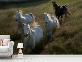 photo-wallpaper-gallop-in-x