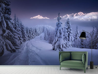 photo-wallpaper-in-the-winter-x