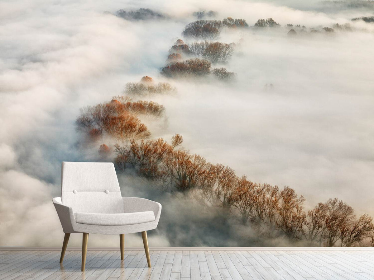 photo-wallpaper-foggy-valley-x