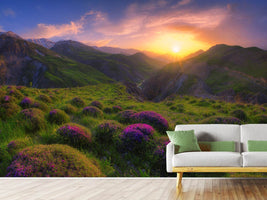 photo-wallpaper-spring-in-show-x