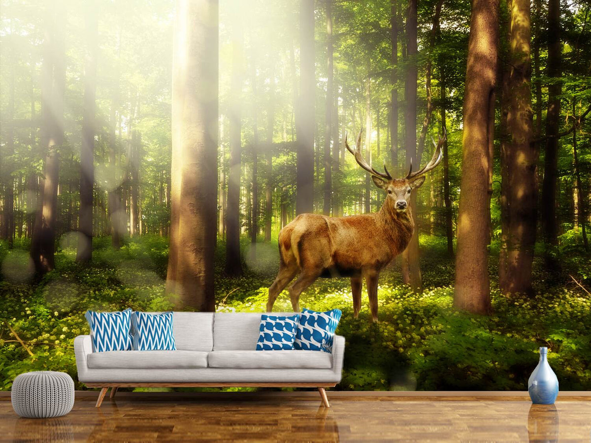 photo-wallpaper-attention-deer