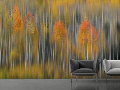 photo-wallpaper-fall-impression-2-x