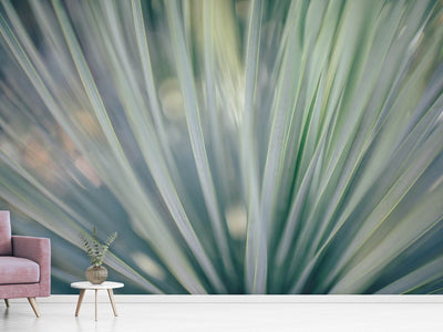 photo-wallpaper-strip-of-plant