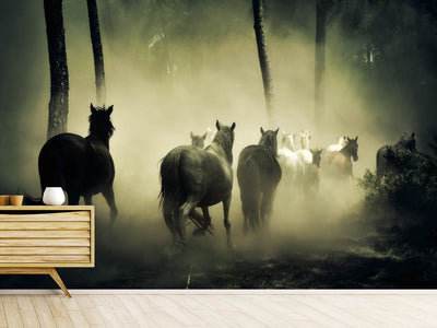 photo-wallpaper-horses-in-the-forest