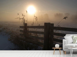 photo-wallpaper-winter-mood