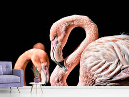 photo-wallpaper-magnificent-flamingos