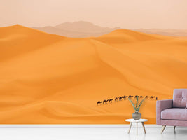 photo-wallpaper-camels-caravan-in-sahara-x