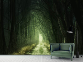 photo-wallpaper-mysterious-forest-iii