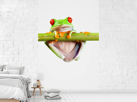 photo-wallpaper-frog-acrobatics