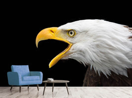 photo-wallpaper-the-bald-eagle