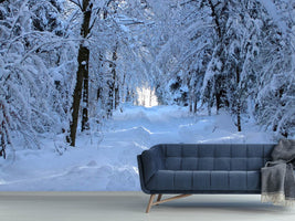 photo-wallpaper-finally-winter