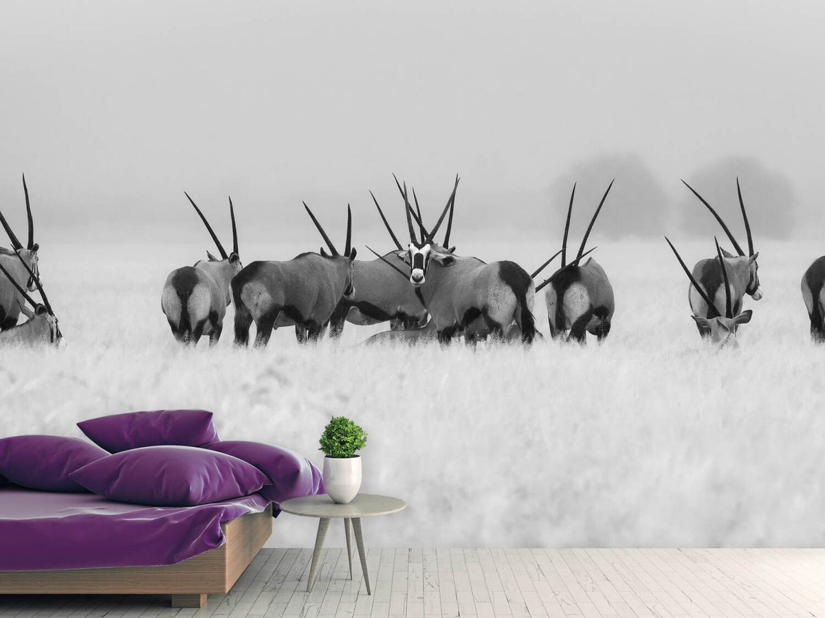 photo-wallpaper-oryx-in-the-rain-x