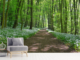 photo-wallpaper-we-love-the-summer-in-the-woods