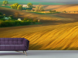 photo-wallpaper-fields-xxg