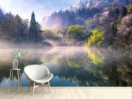 photo-wallpaper-morning-calm