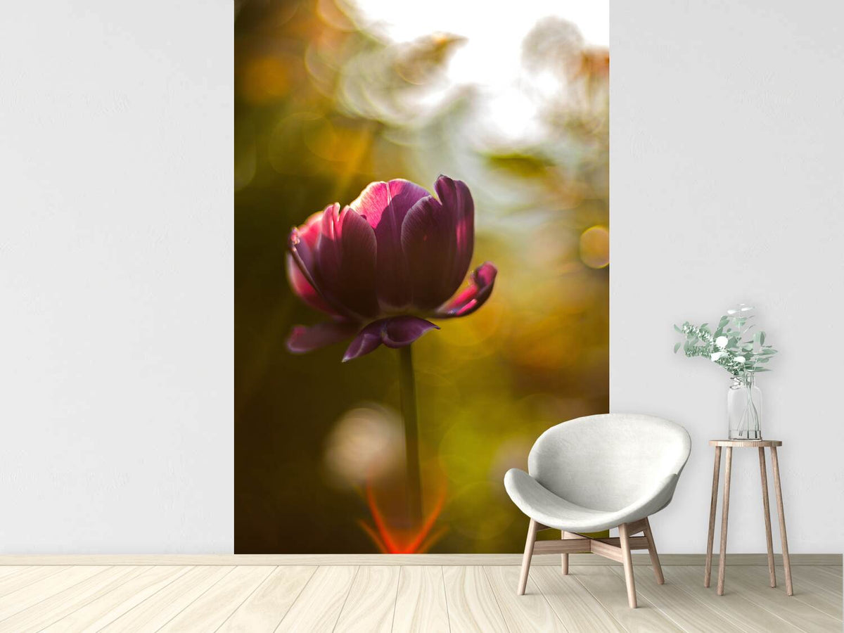 photo-wallpaper-dark-tulips-beauty