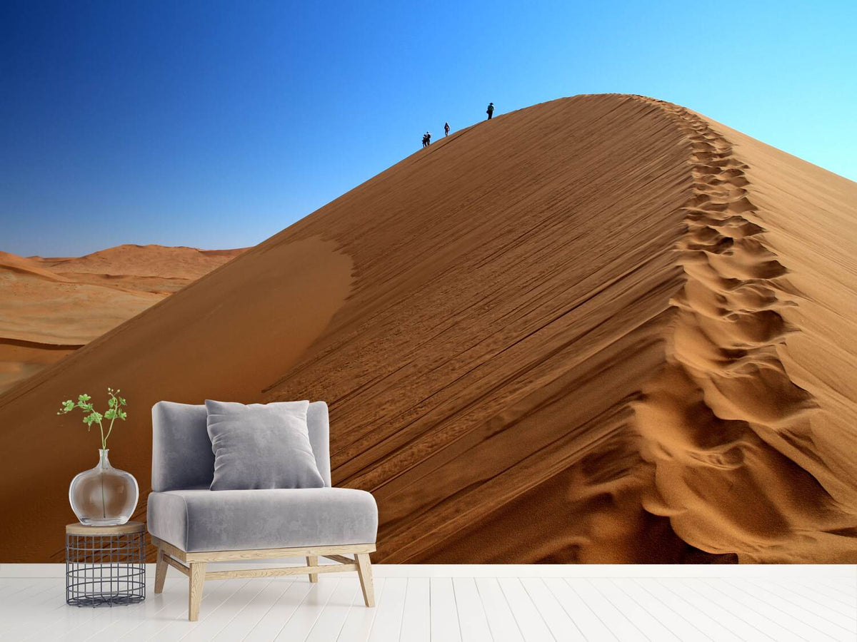 photo-wallpaper-desert-hike-in-namibia