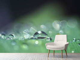 photo-wallpaper-drops-of-water-in-xxl