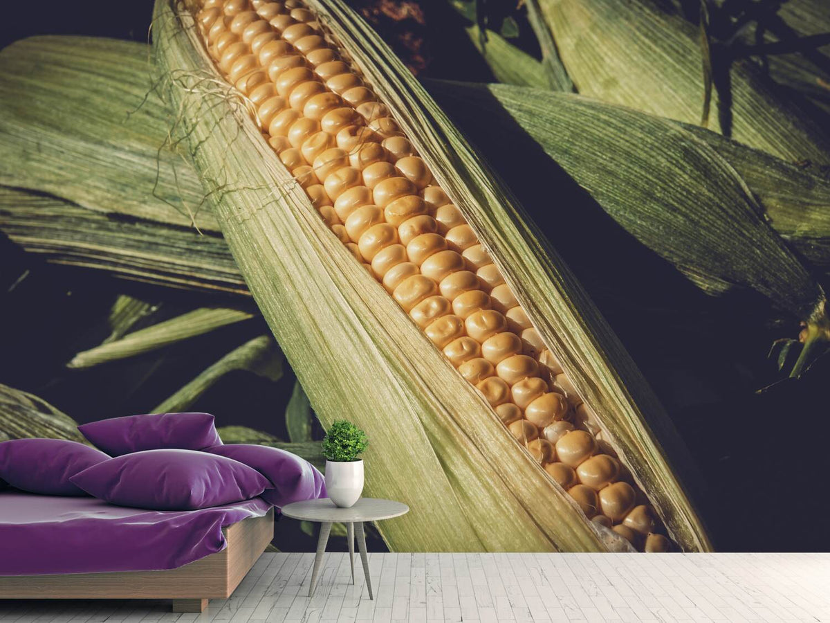 photo-wallpaper-fresh-sweetcorn