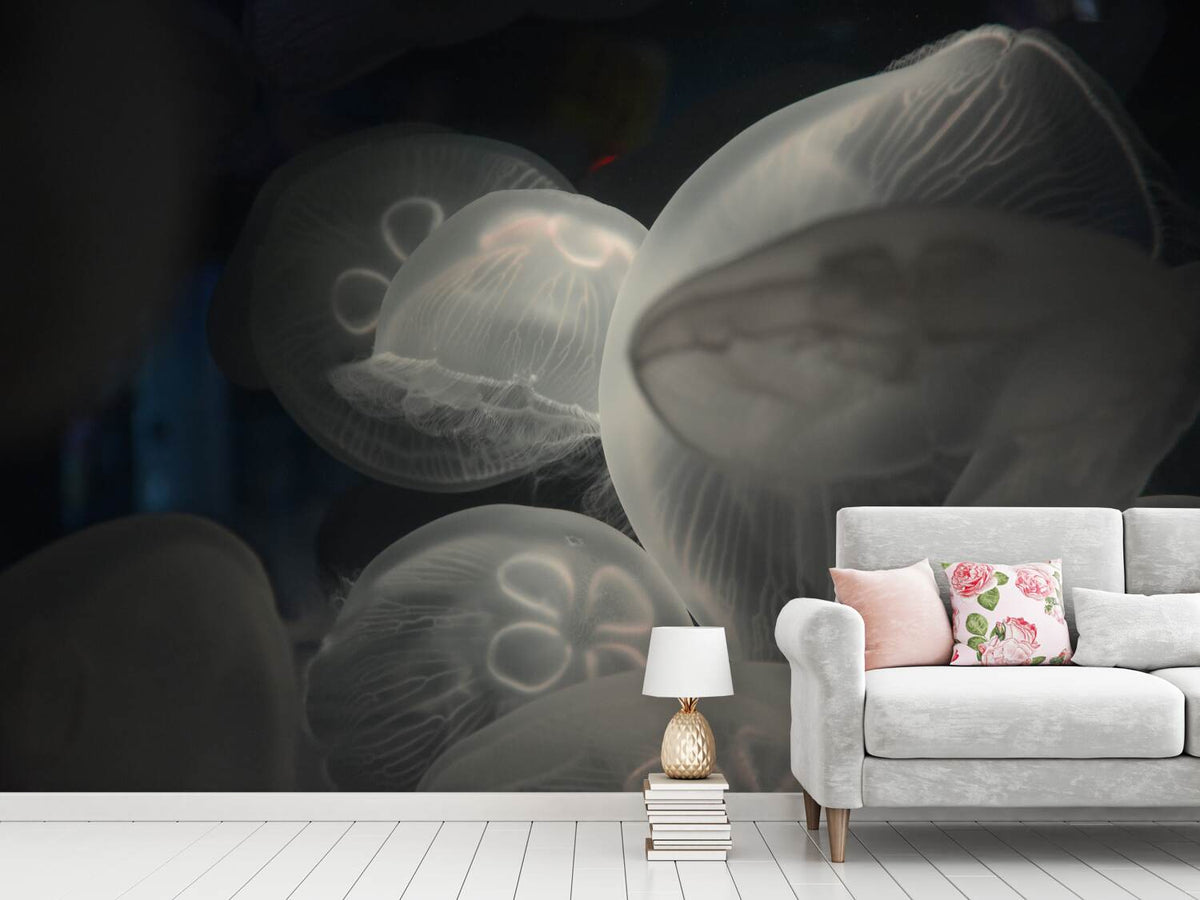 photo-wallpaper-eerie-jellyfish