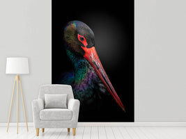 photo-wallpaper-the-black-stork