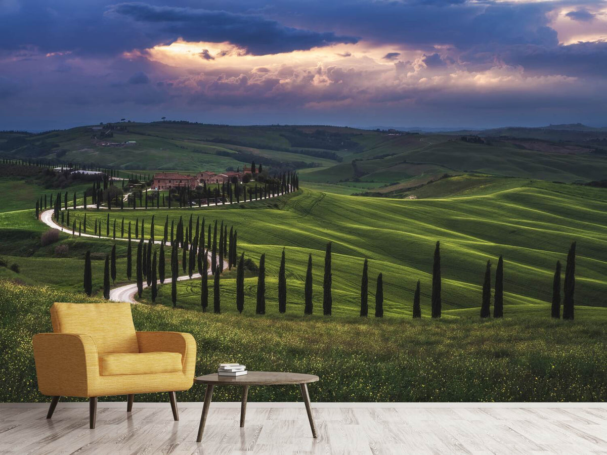 photo-wallpaper-tuscany-crete-senesi