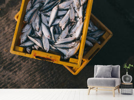 photo-wallpaper-fish-in-boxes