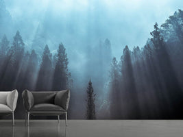 photo-wallpaper-light-to-be-believed-likely-x