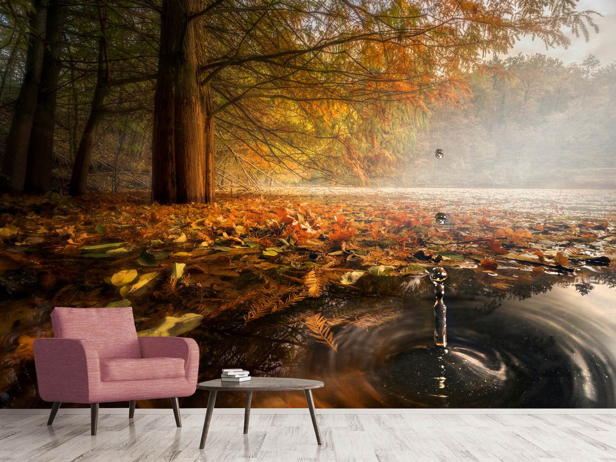 photo-wallpaper-drops-between-the-autumn-colors-x