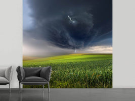 photo-wallpaper-june-storm