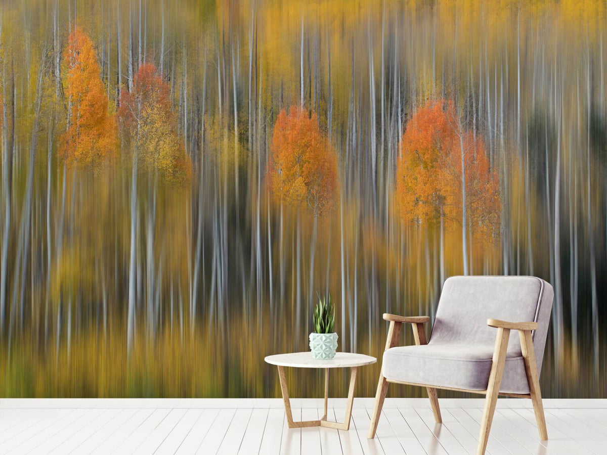 photo-wallpaper-fall-impression-2-x