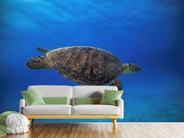 photo-wallpaper-green-turtle-in-the-blue