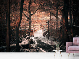 photo-wallpaper-winter-is-coming