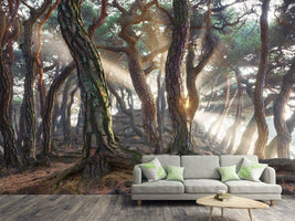 photo-wallpaper-sacred-pine-trees-x