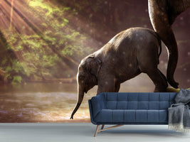 photo-wallpaper-the-elephant-baby