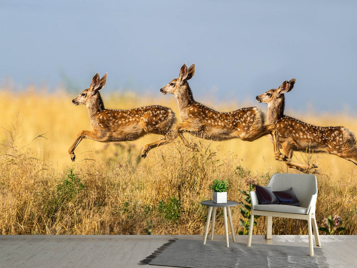 photo-wallpaper-tripple-jump