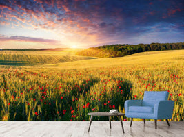 photo-wallpaper-a-flower-field-at-sunrise