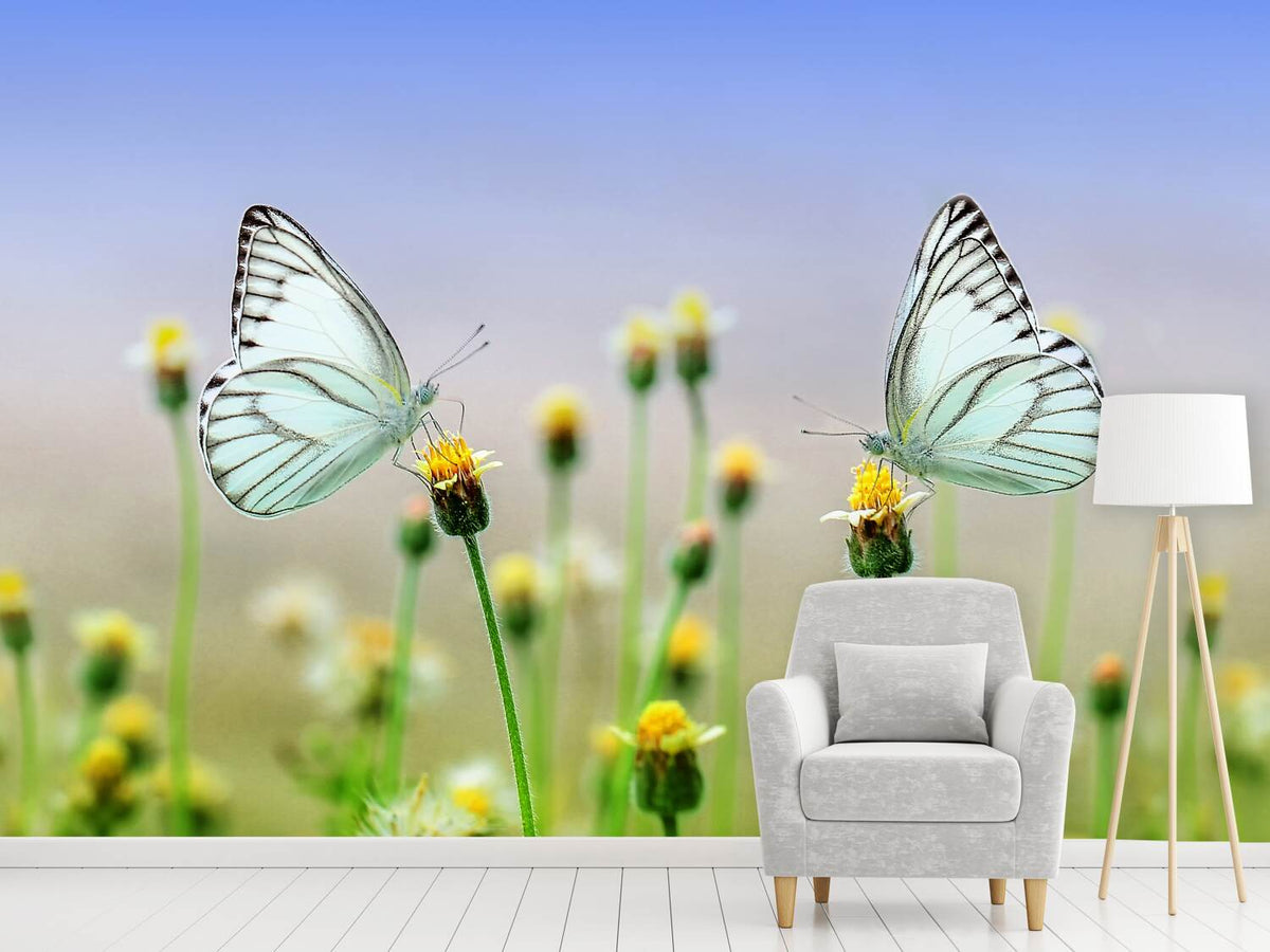 photo-wallpaper-2-butterflies