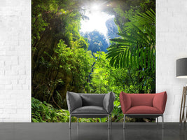 photo-wallpaper-clearing-in-the-jungle