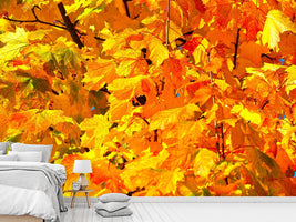 photo-wallpaper-autumn-leaves-ii