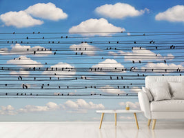 photo-wallpaper-cantus-arcticus-concerto-for-birds