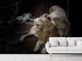 photo-wallpaper-the-lion-couple