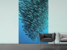 photo-wallpaper-schooling-jackfishes