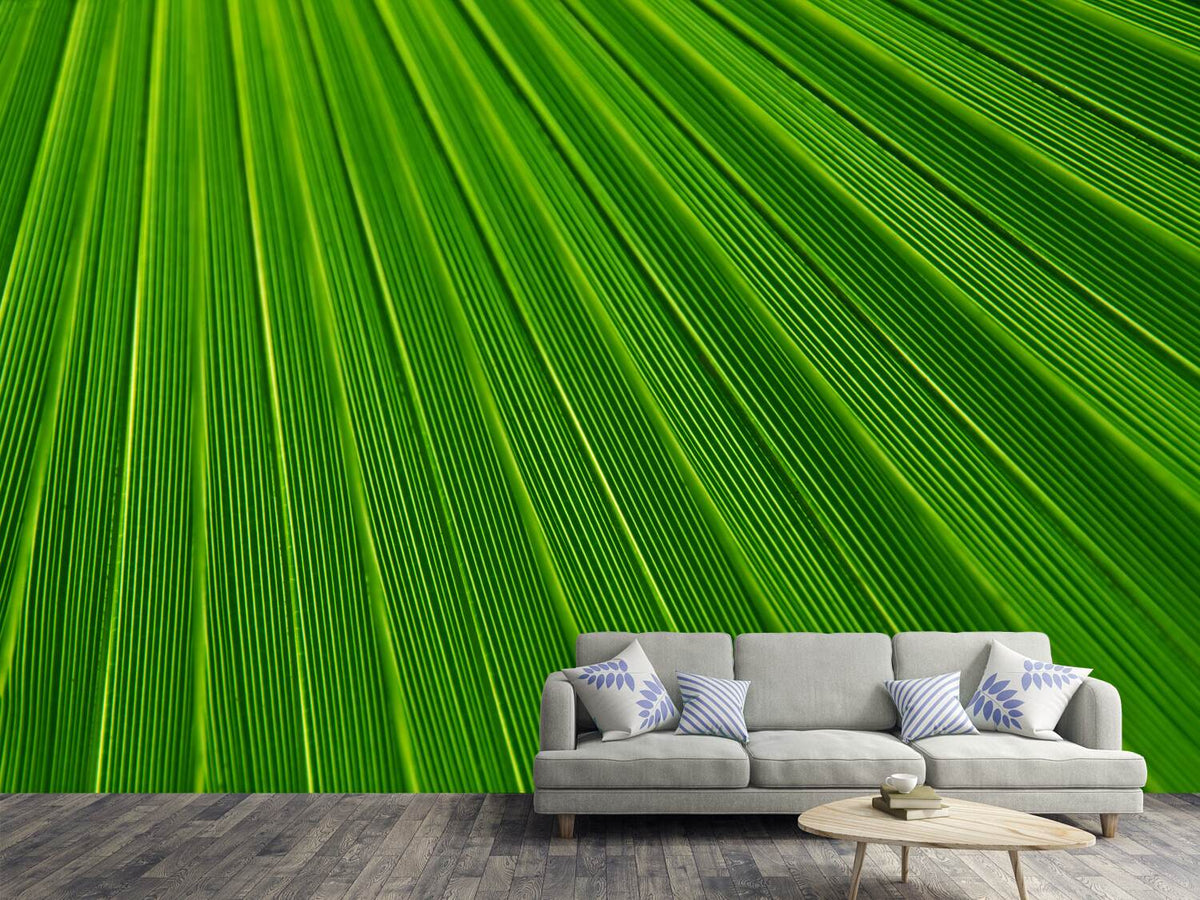 photo-wallpaper-palm-stripe-i