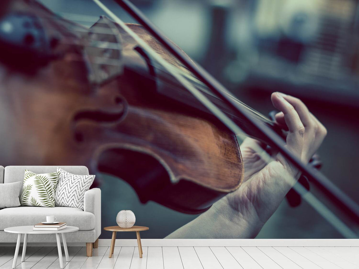 photo-wallpaper-violin