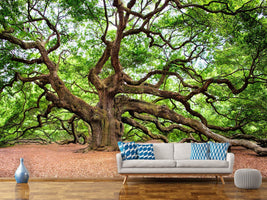 photo-wallpaper-the-oak