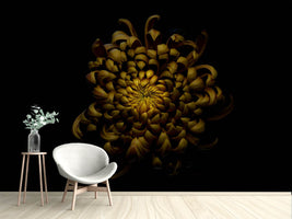 photo-wallpaper-chrysanthemum